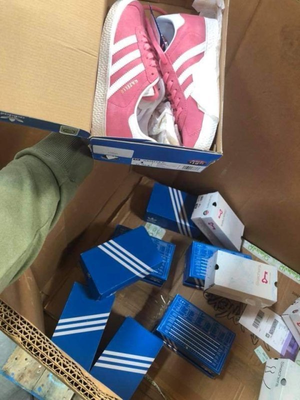 1000008583.jpg